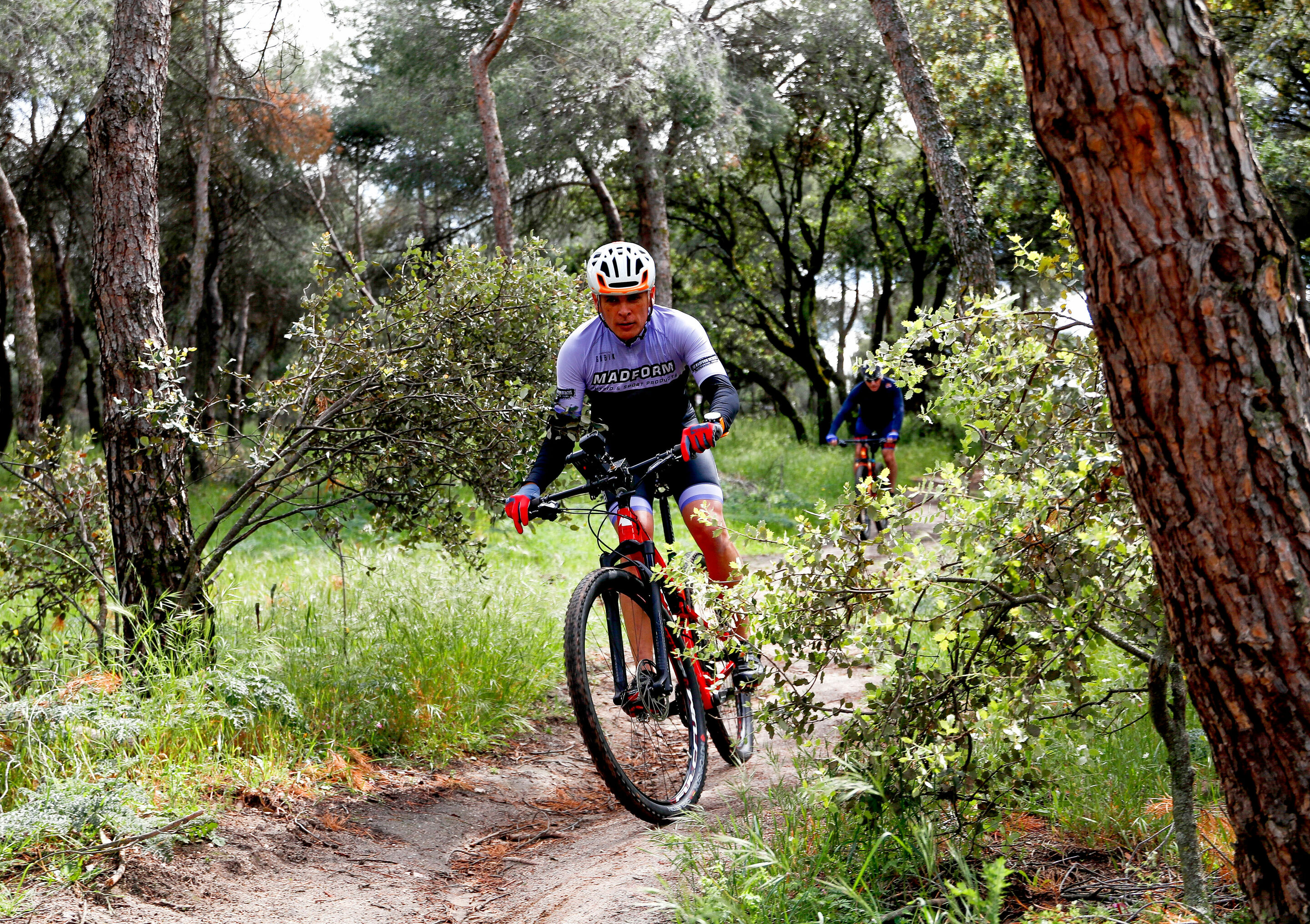 Homestory Carlos Sainz