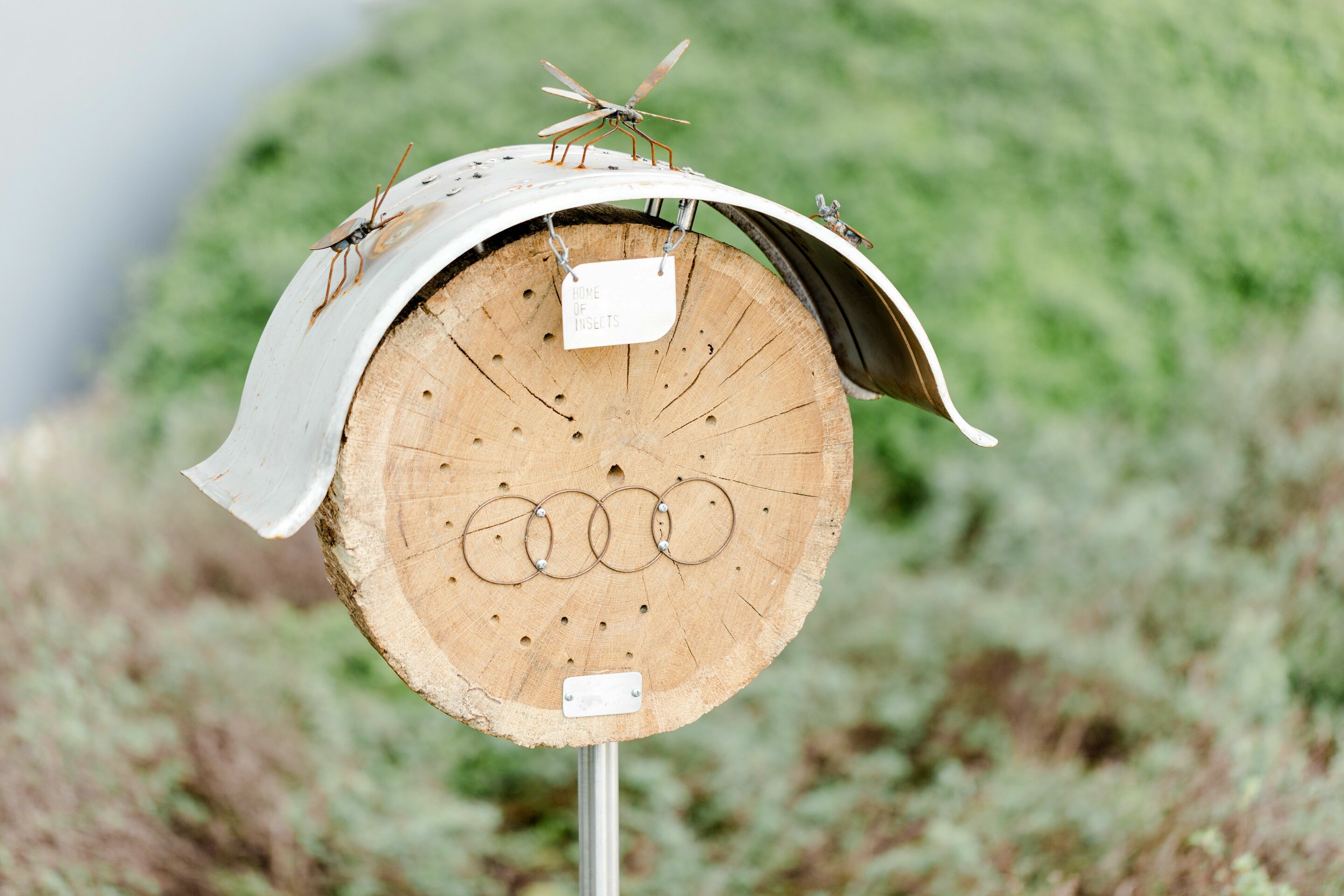 Mission:Zero at Neckarsulm site: Audi is shaping the future of production, consistently and sustainably