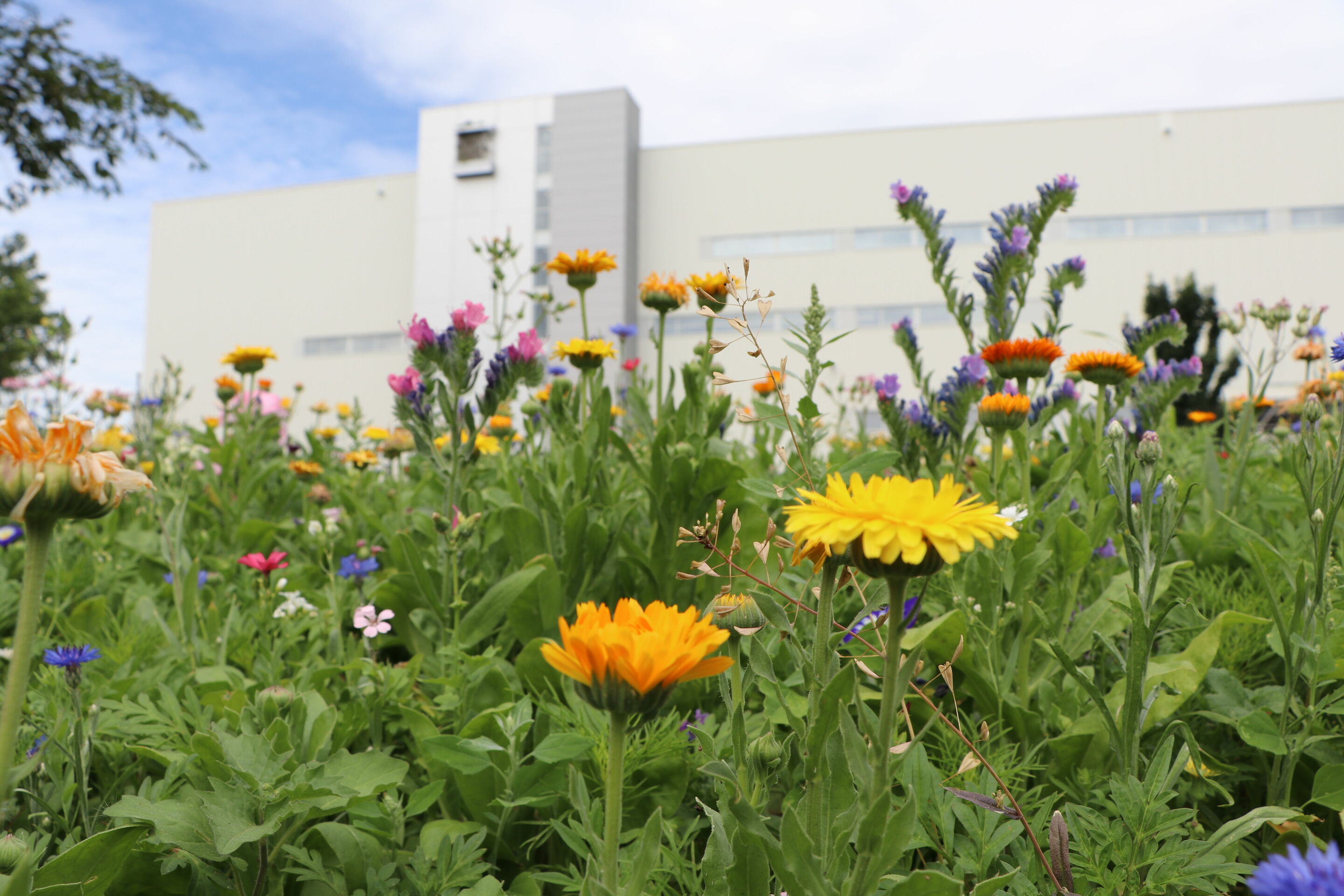 Mission:Zero at Neckarsulm site: Audi is shaping the future of production, consistently and sustainably