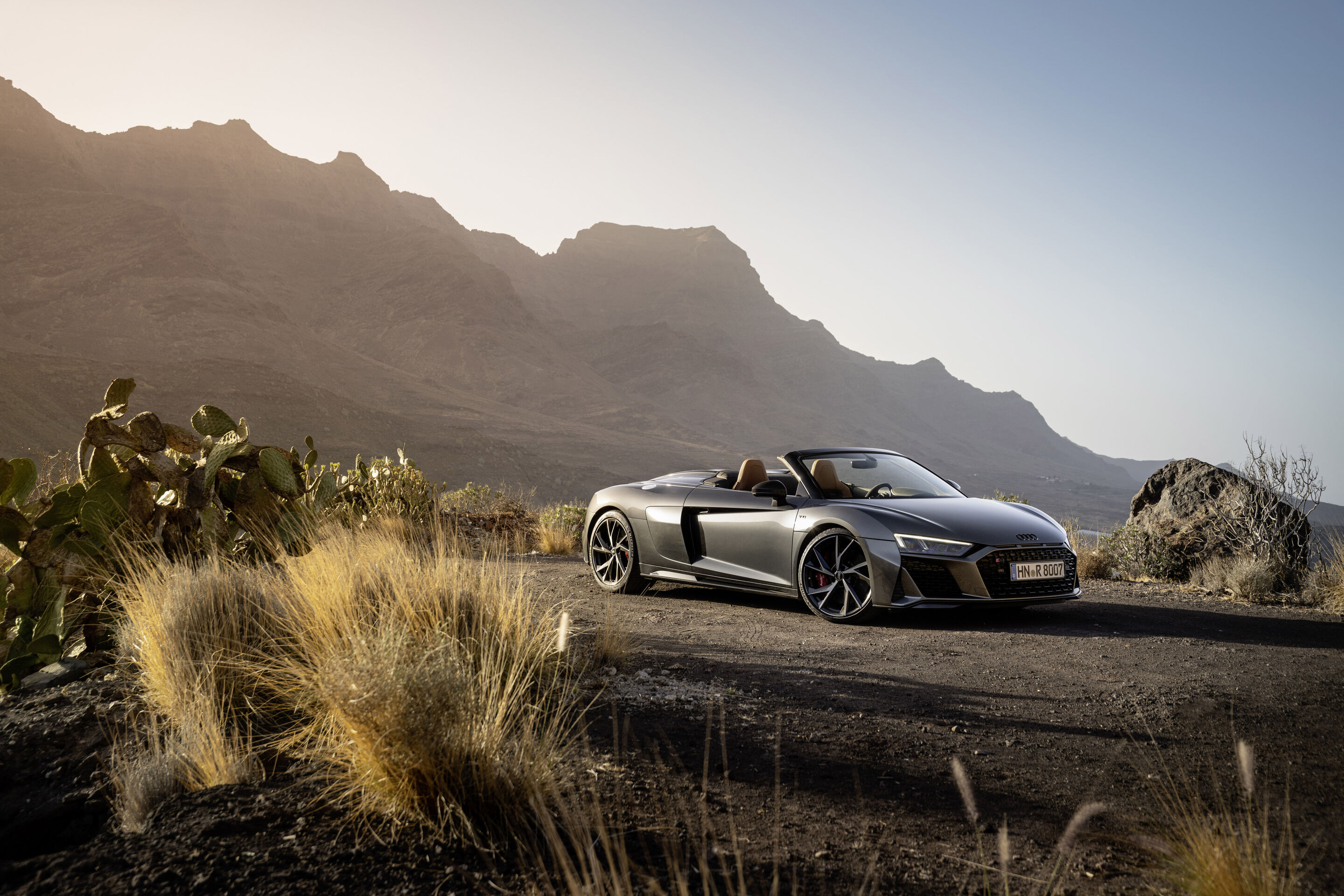 Audi R8 Spyder V10 performance RWD