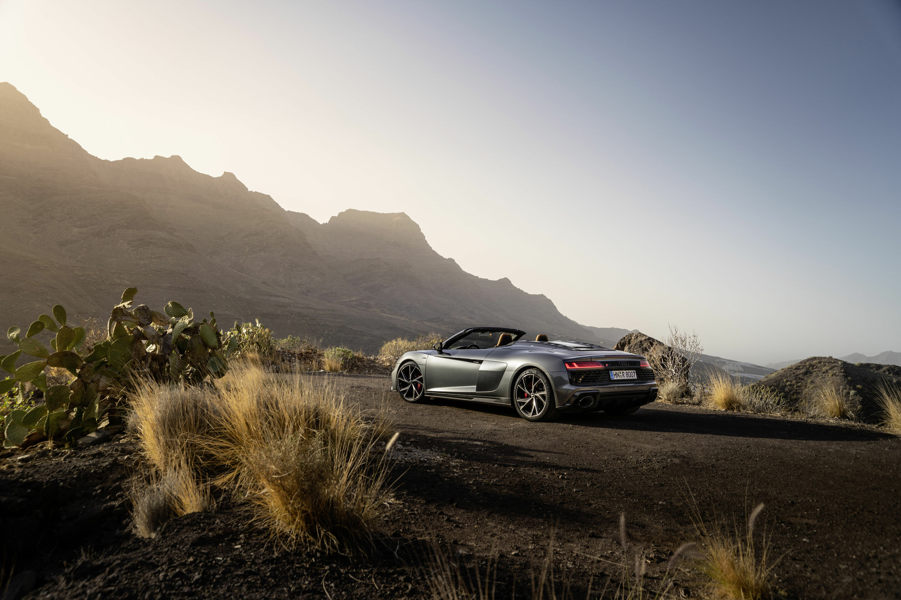 Audi R8 Spyder V10 performance RWD