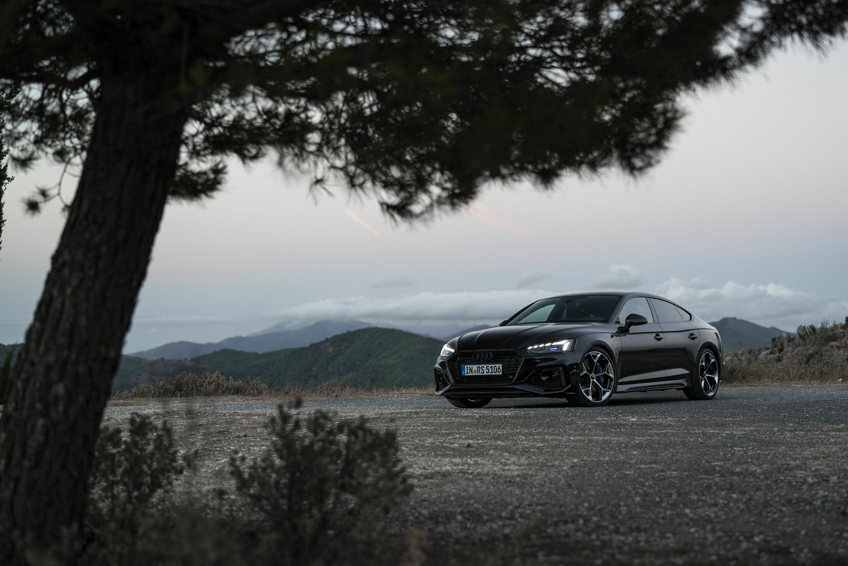 Audi RS 5 Sportback mit competition plus-Paket