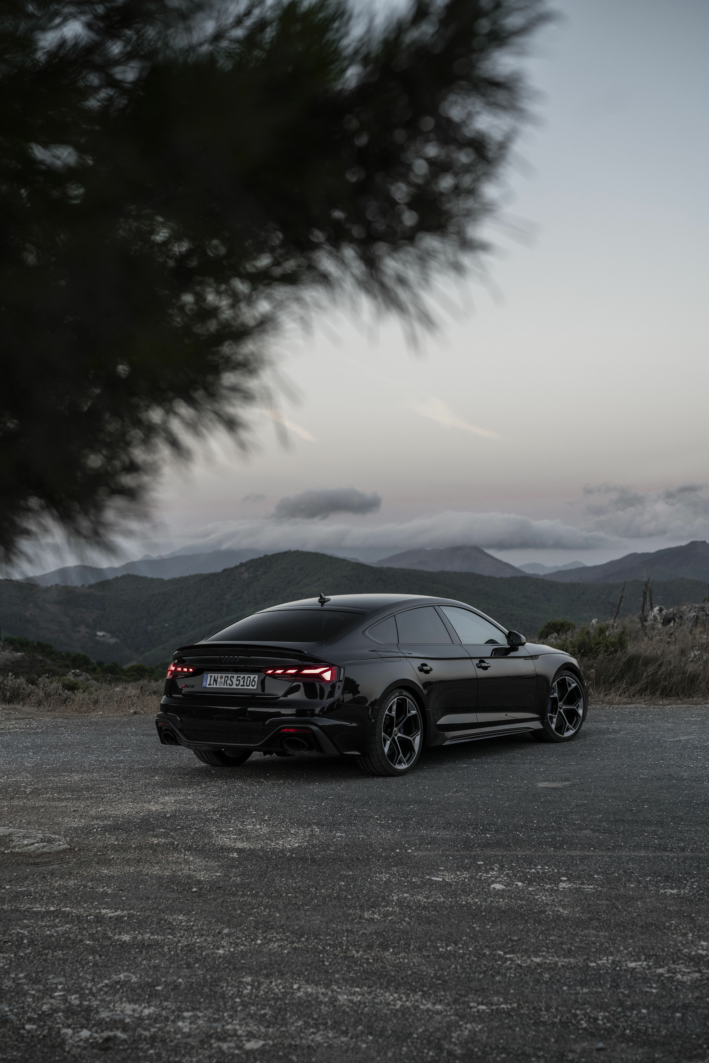 Audi RS 5 Sportback mit competition plus-Paket