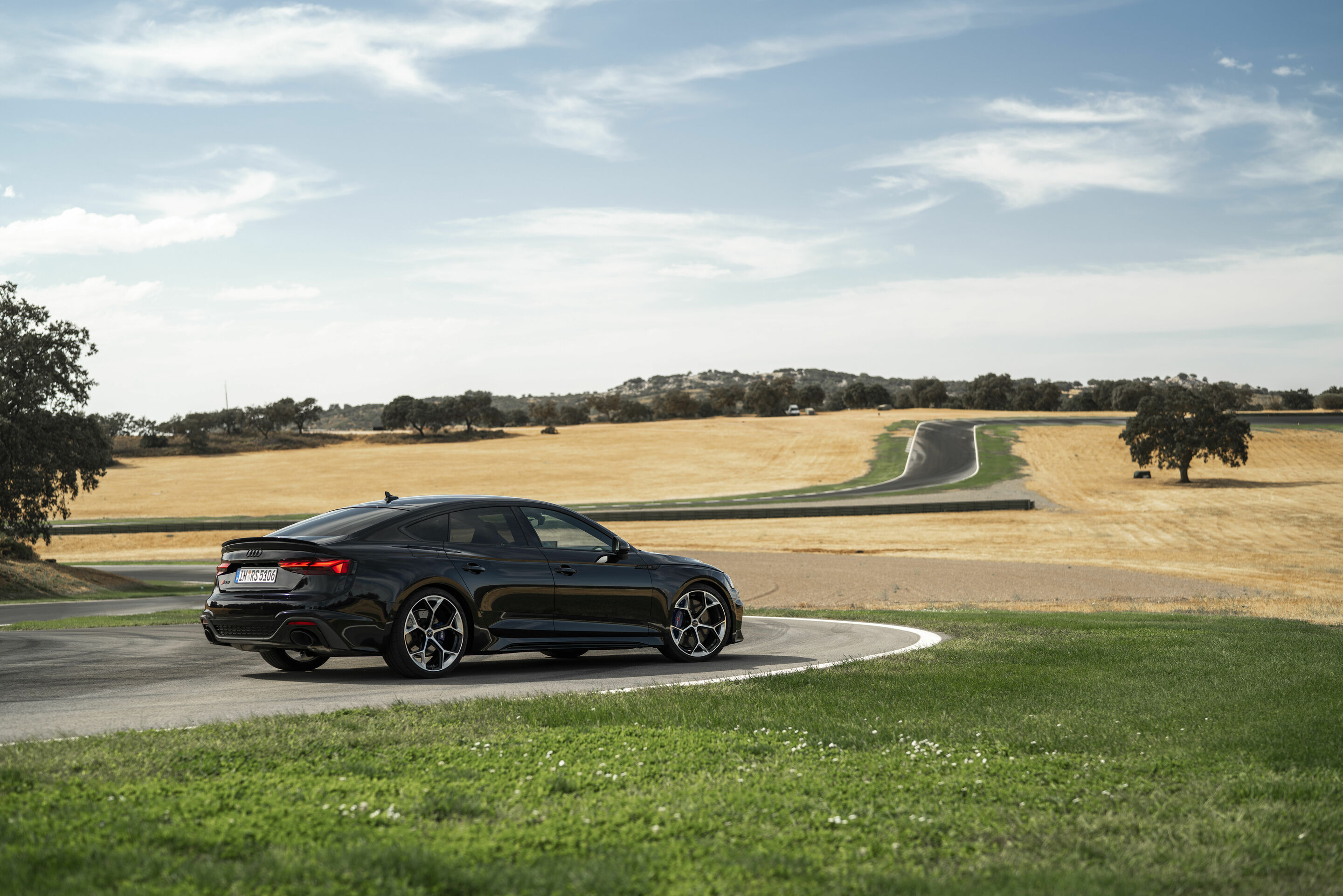 Audi RS 5 Sportback mit competition plus-Paket