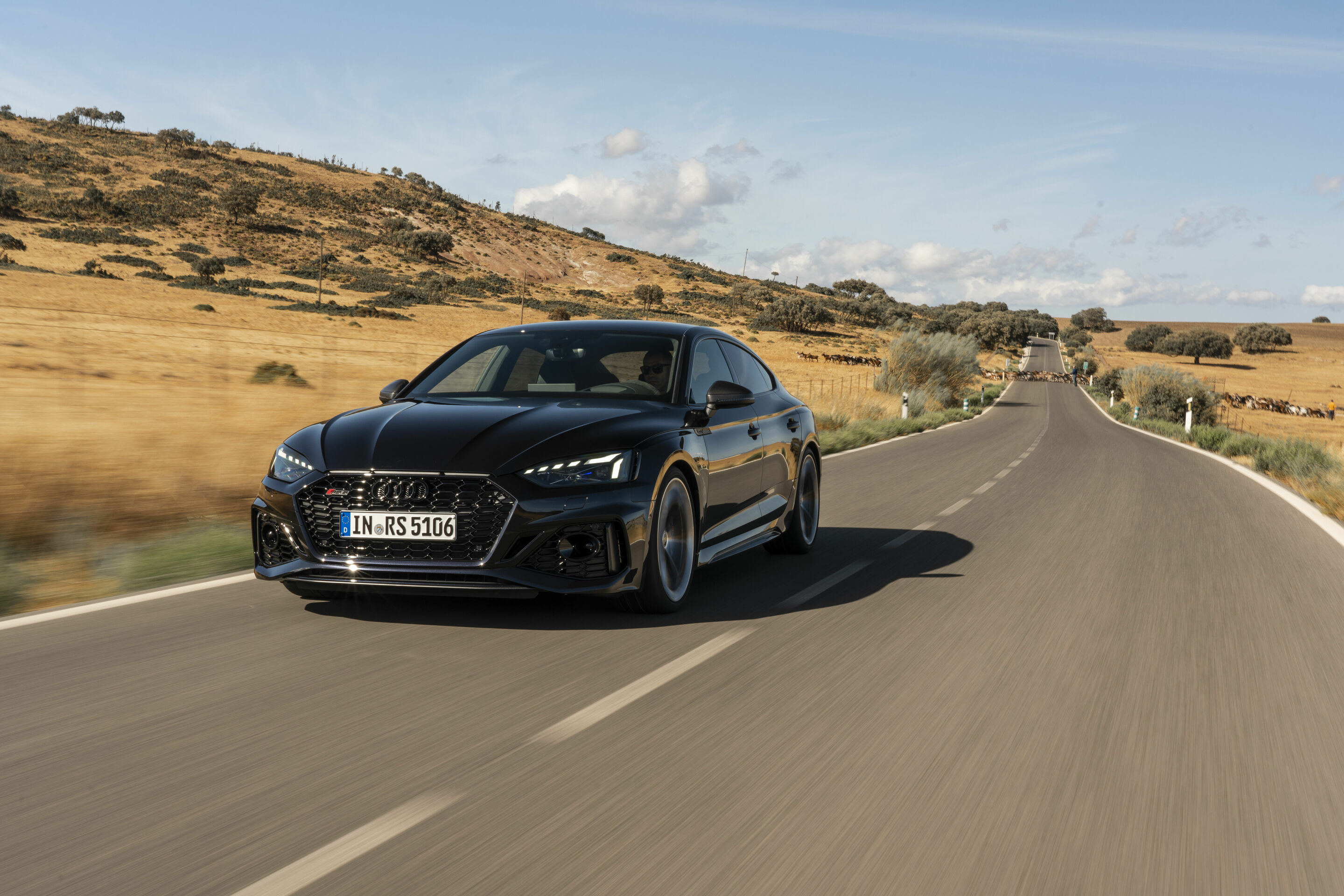 Audi RS 5 Sportback mit competition plus-Paket