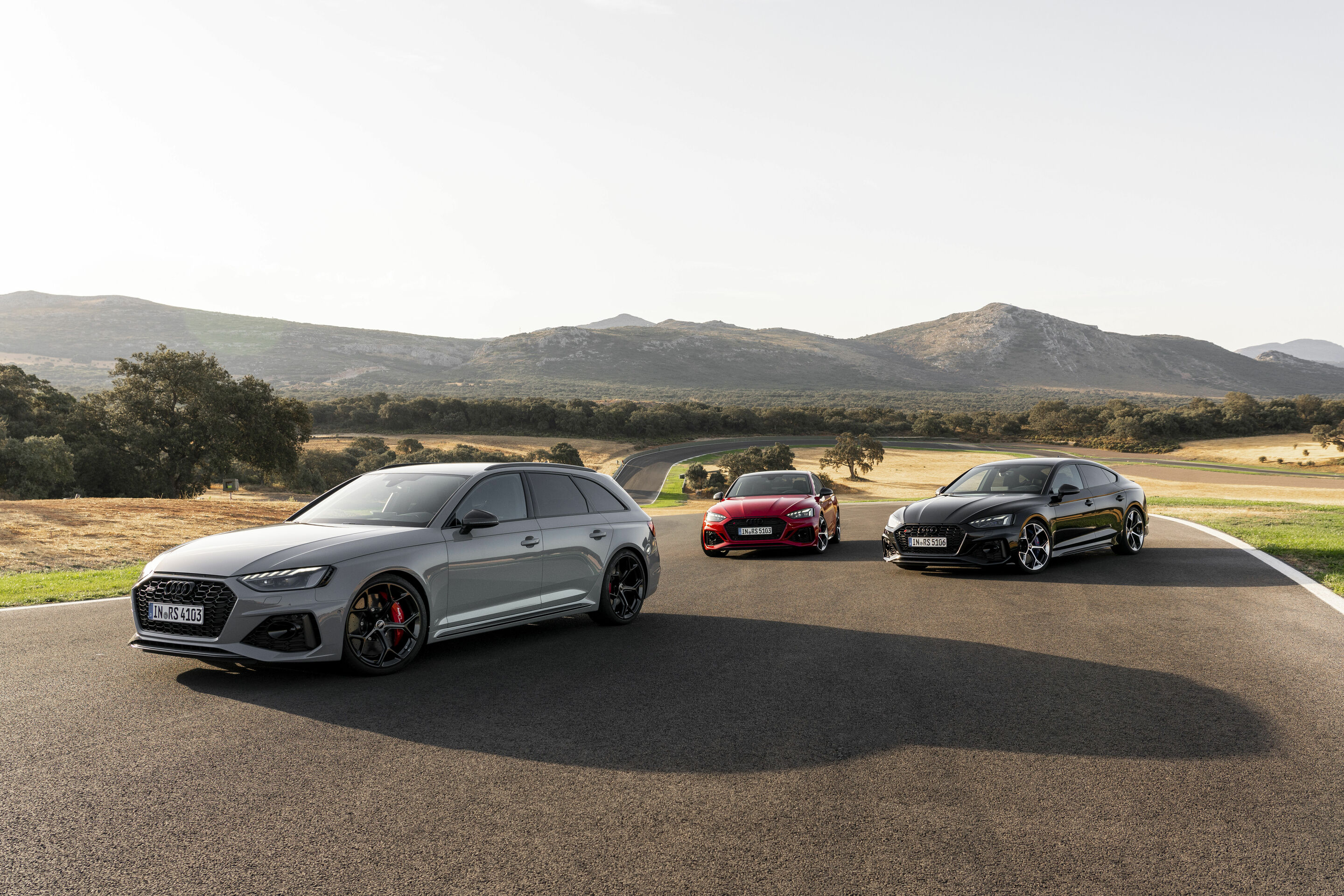 Audi RS 4 Avant, Audi RS 5 Coupé, Audi RS 5 Sportback mit competition plus-Paket
