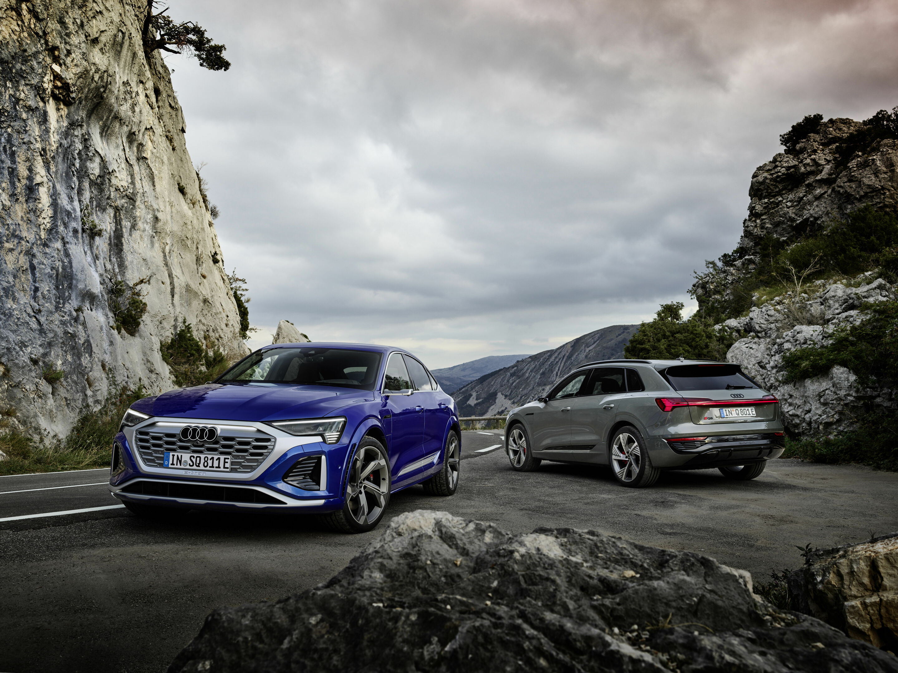 Audi SQ8 Sportback e-tron, Audi Q8 55 e-tron quattro