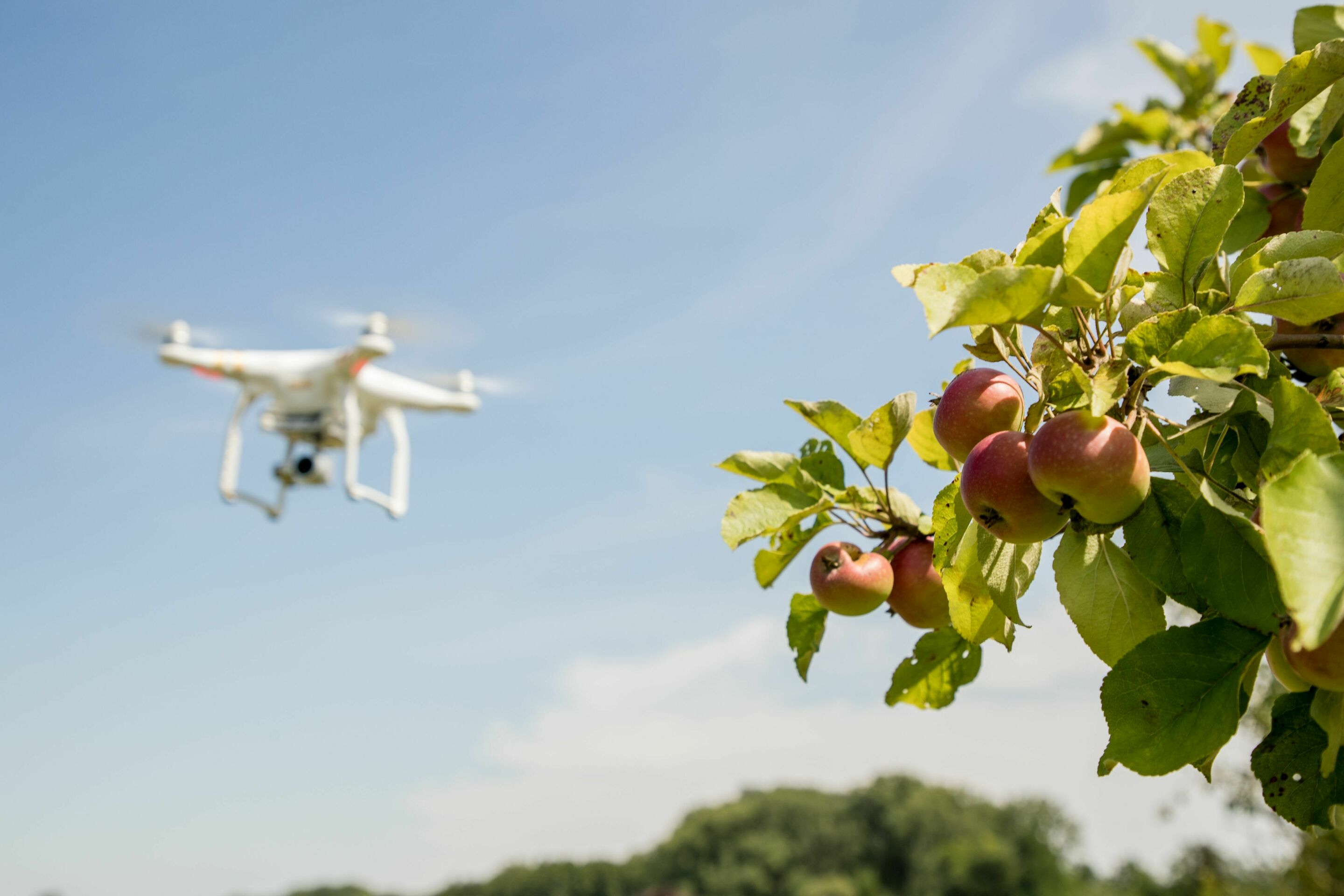 Drones for environmental protection: monitoring of meadow orchards successfully completed