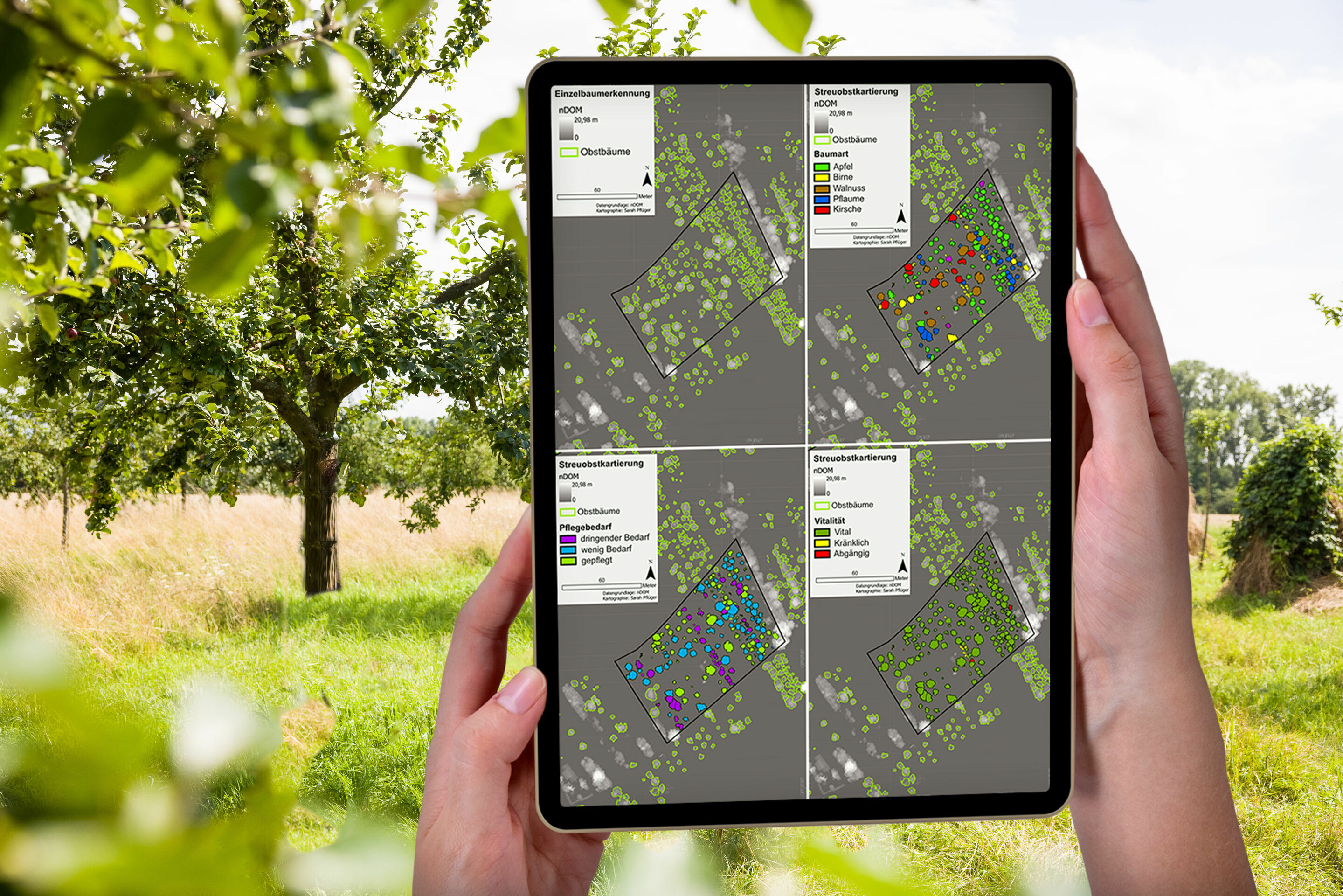 Drones for environmental protection: monitoring of meadow orchards successfully completed