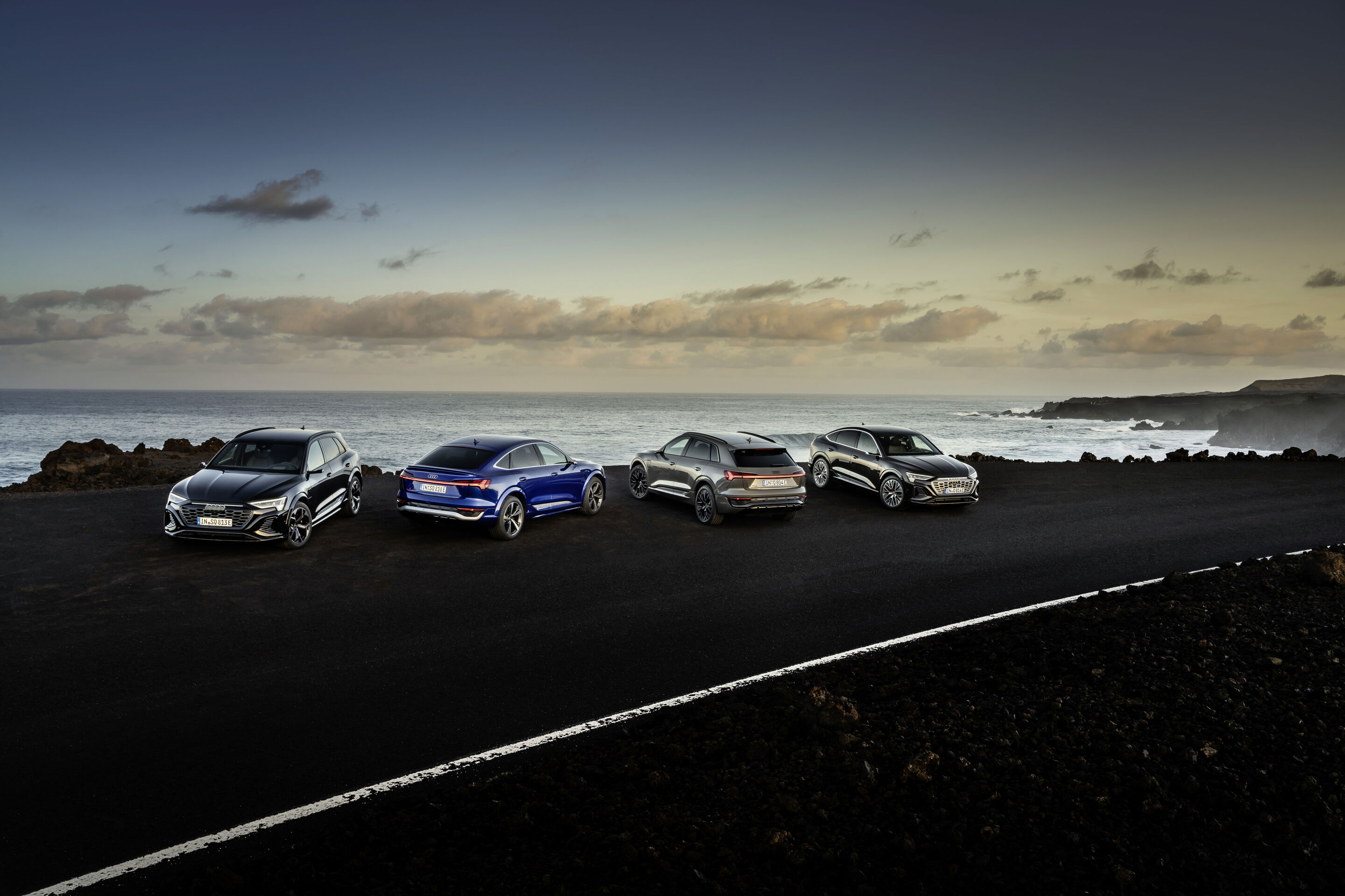 Die neuen Audi Q8 e-tron Modelle
