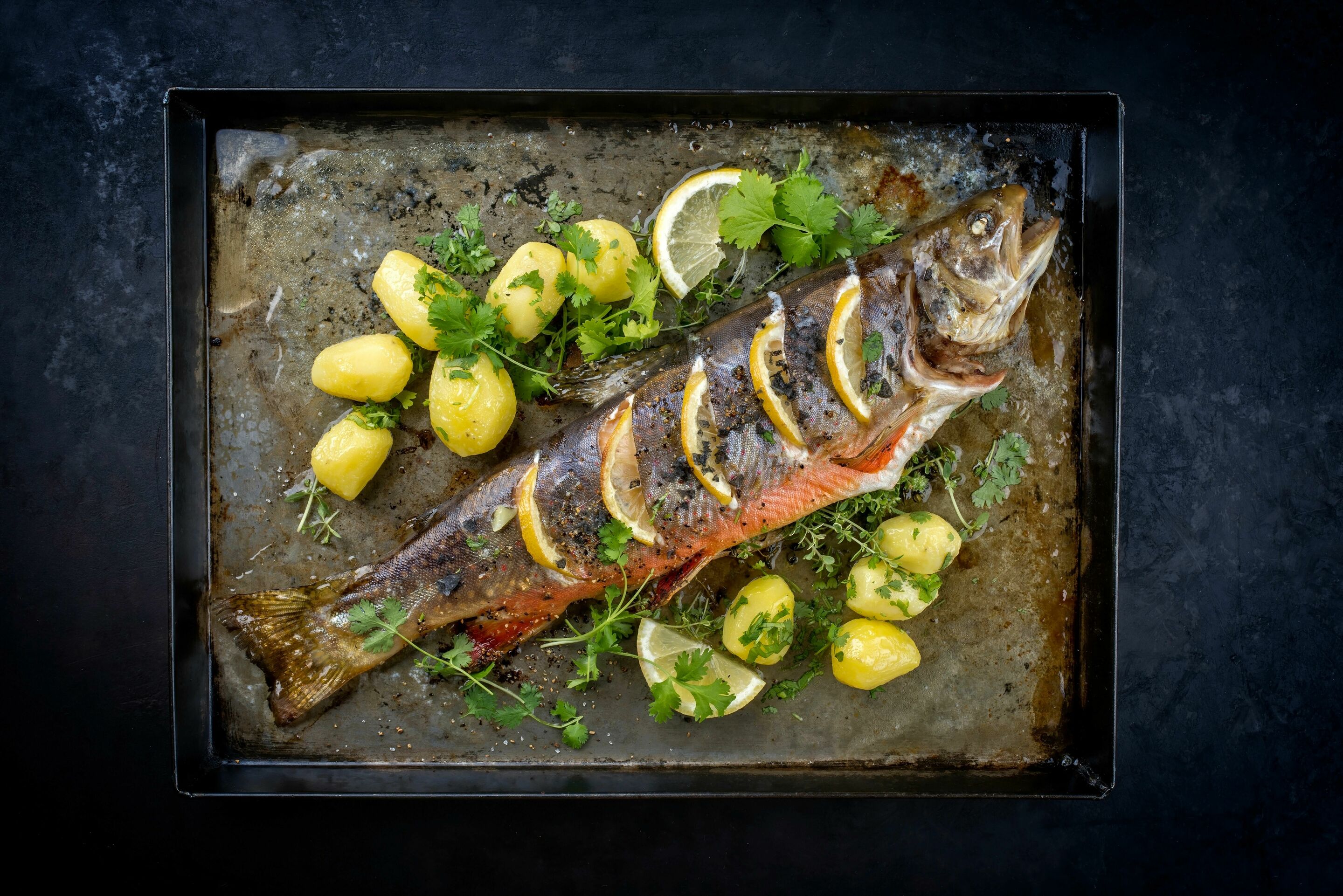 Gastronomy at the Audi Forum