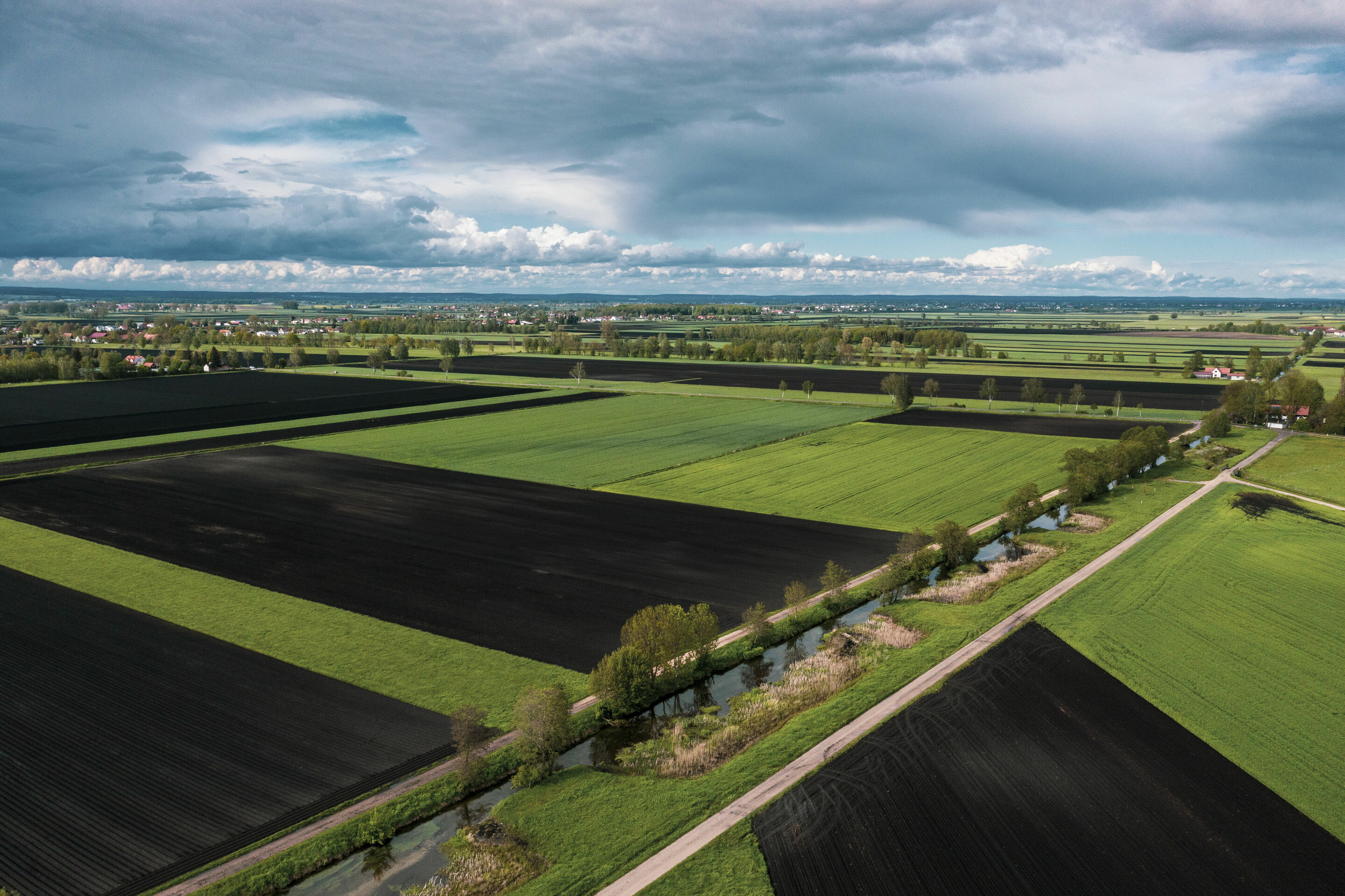 Peatland protection through climate certificates