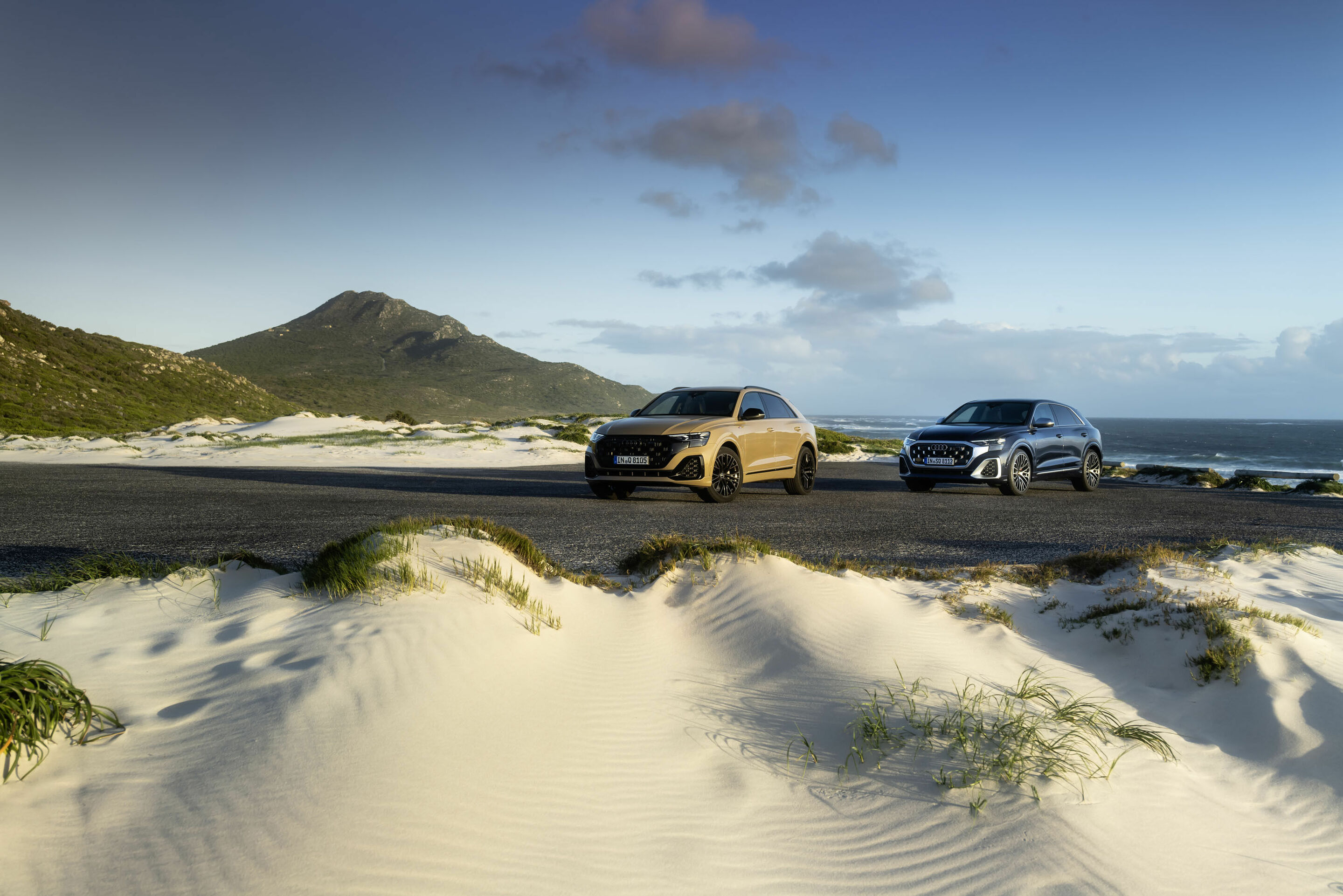 Audi Q8 / Audi SQ8 TFSI