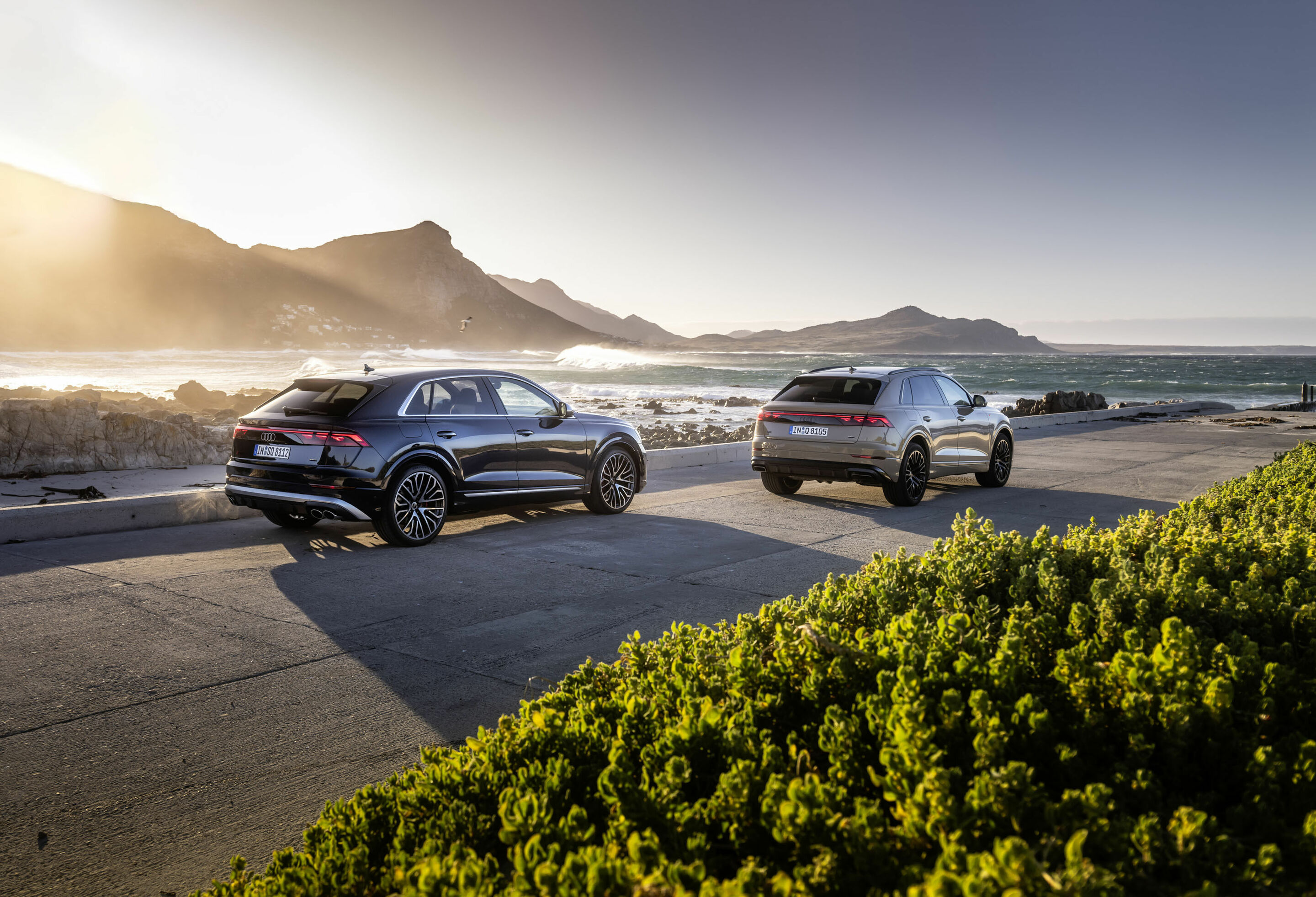 Audi Q8 / Audi SQ8 TFSI