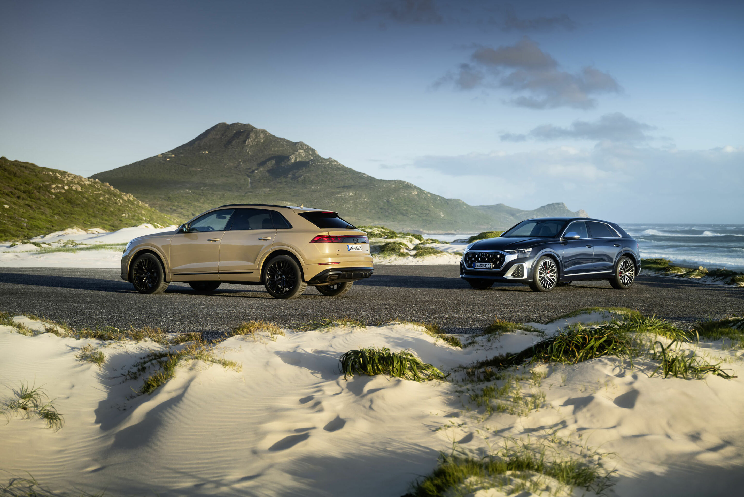 Audi Q8 / Audi SQ8 TFSI