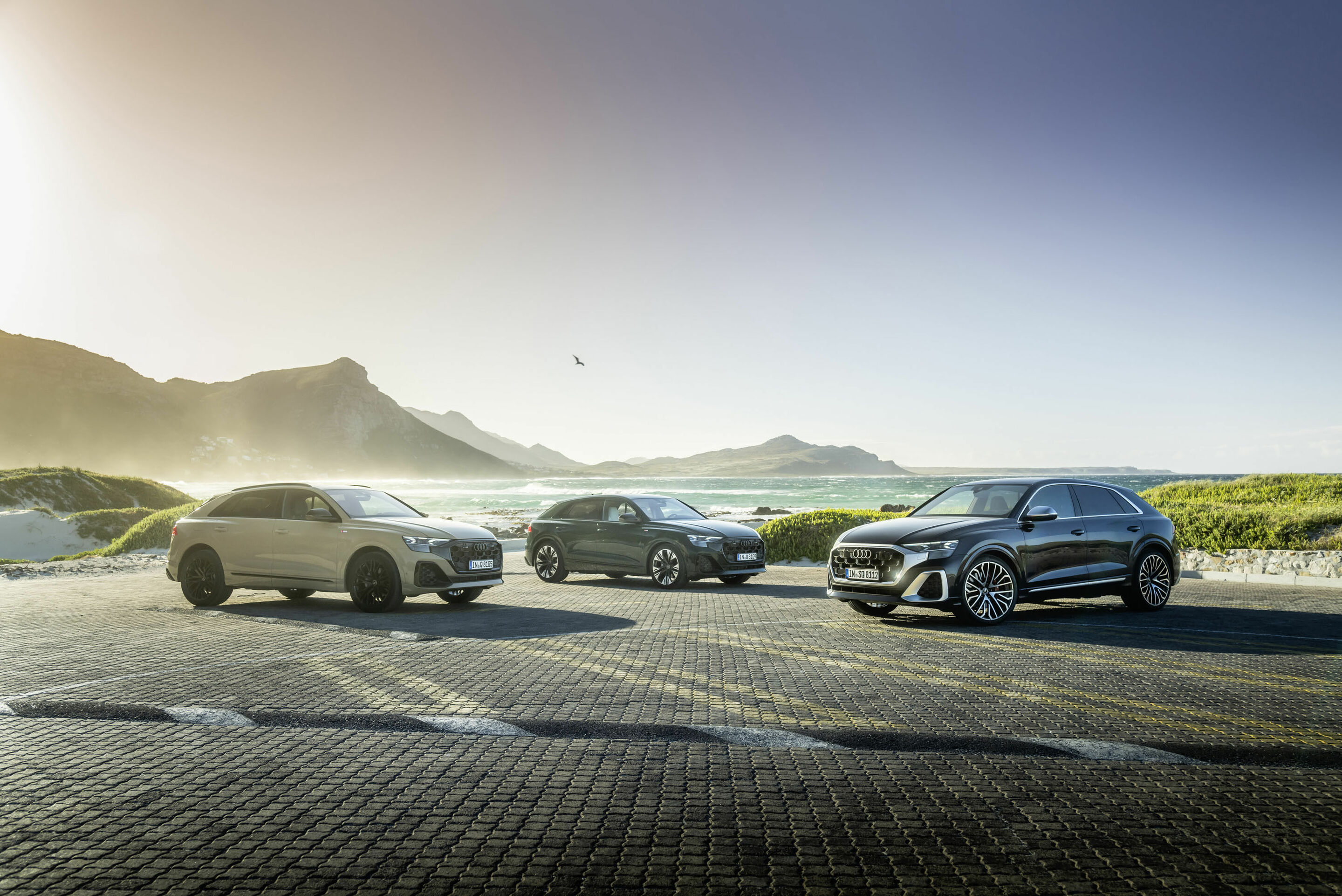 Audi Q8 / Audi SQ8 TFSI