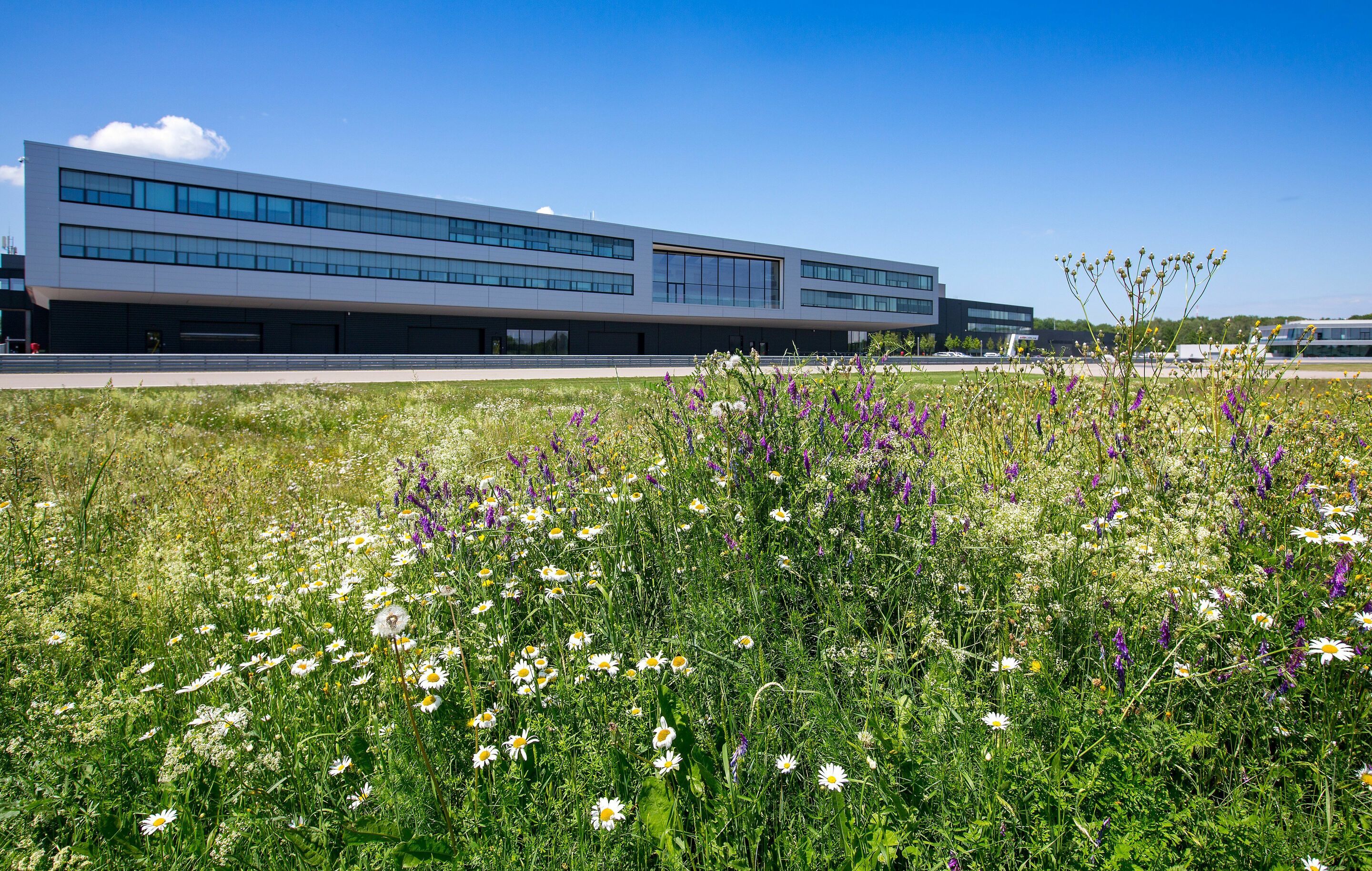 Biodiversität Audi Neuburg: Kompetenz-Center Motorsport