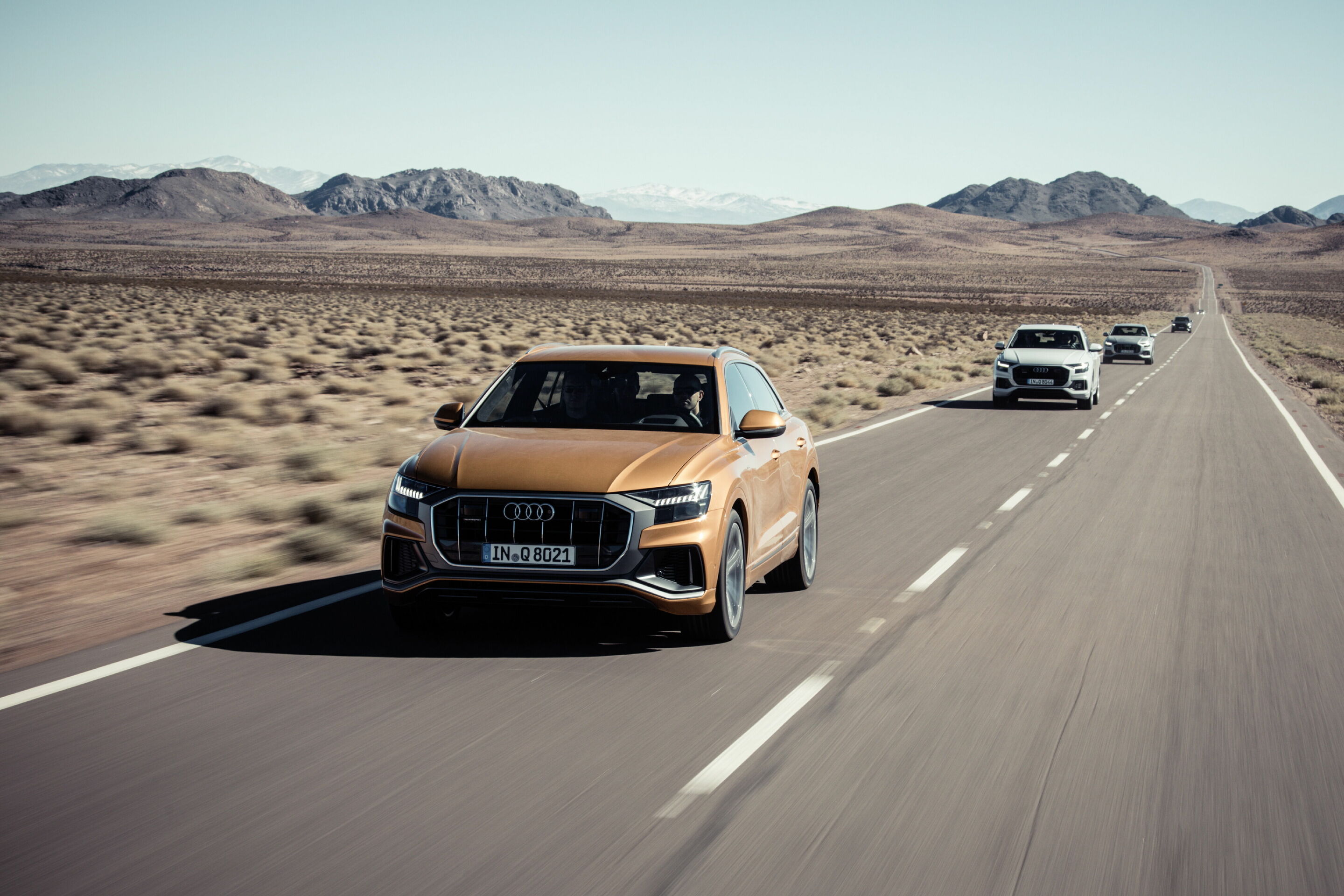 Audi Q8