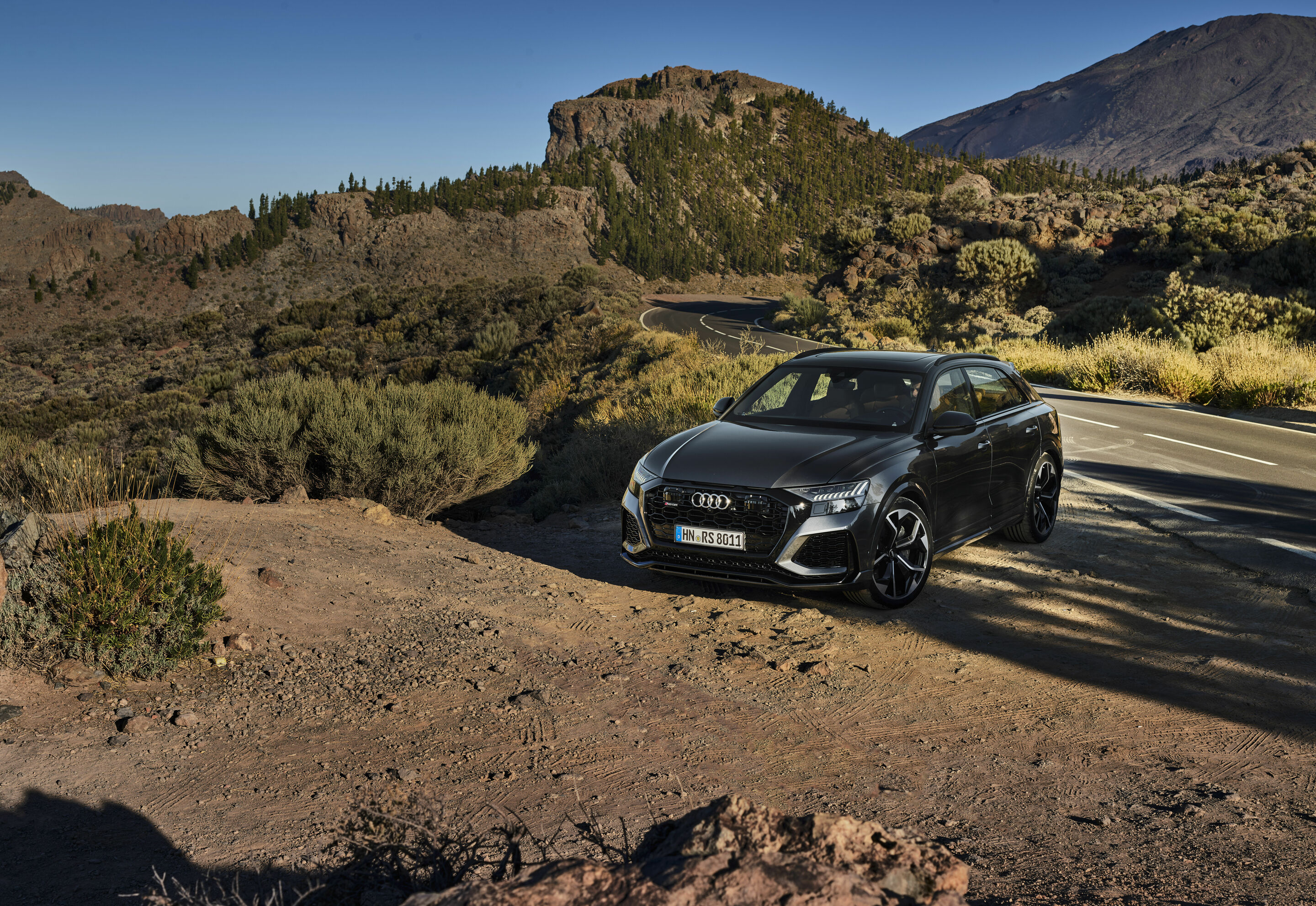 Audi RS Q8