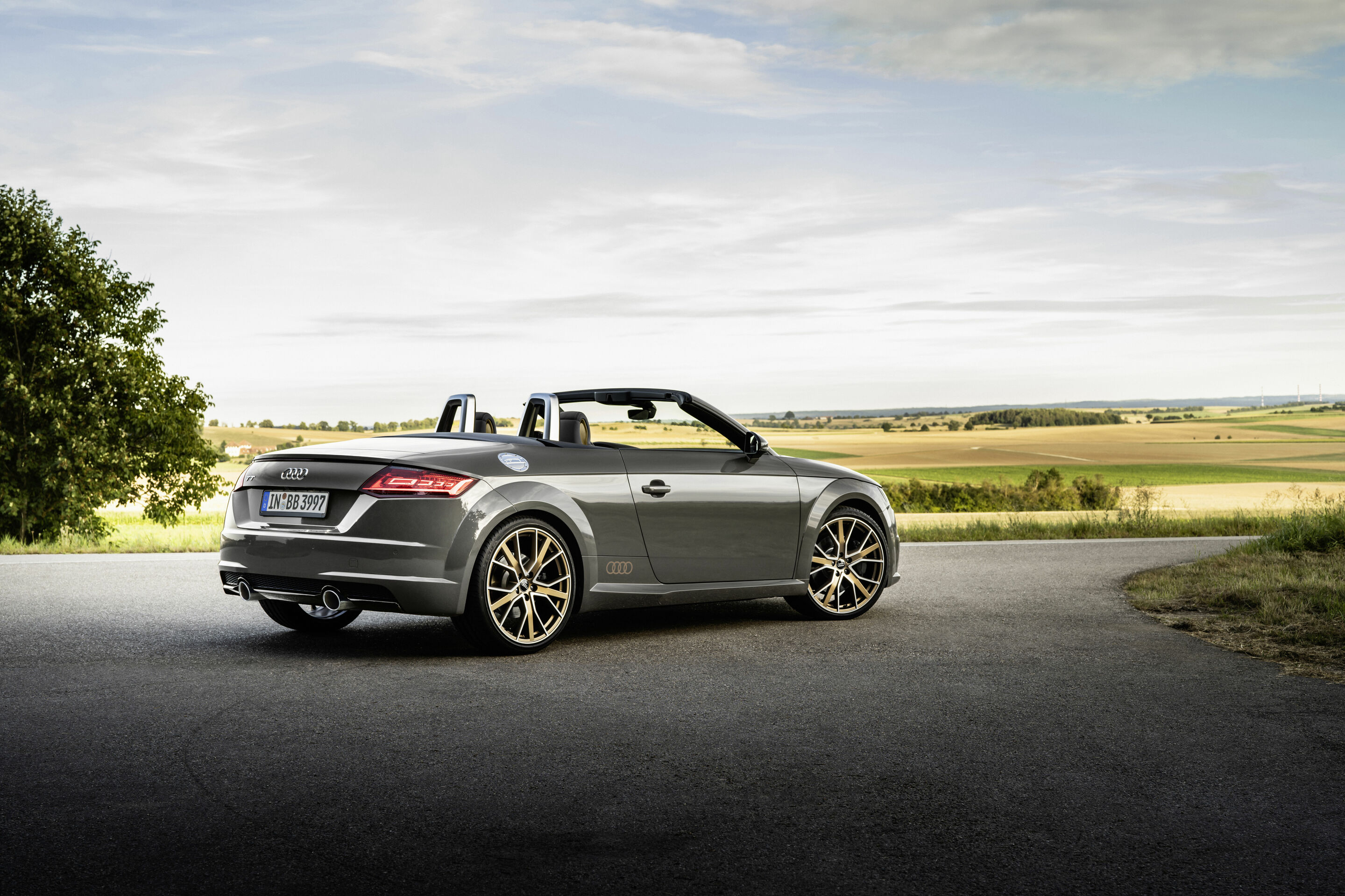 Audi TT Roadster bronze selection