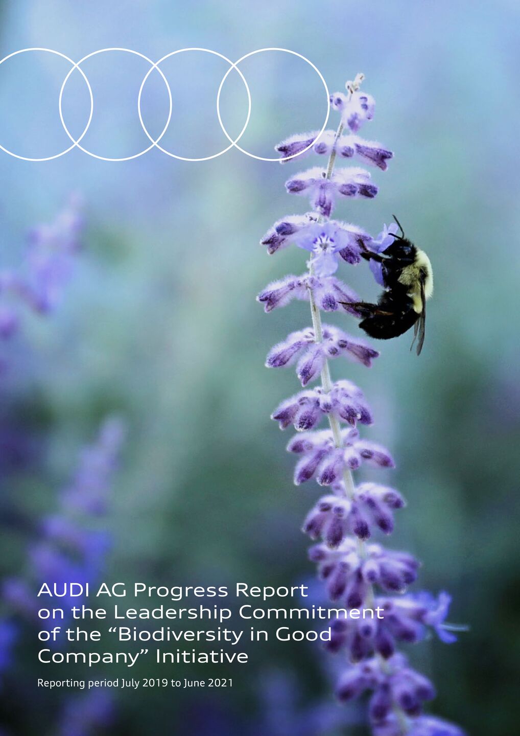 AUDI AG Progress Report on the Leadership Commitment of the “Biodiversity in Good Company” Initiative