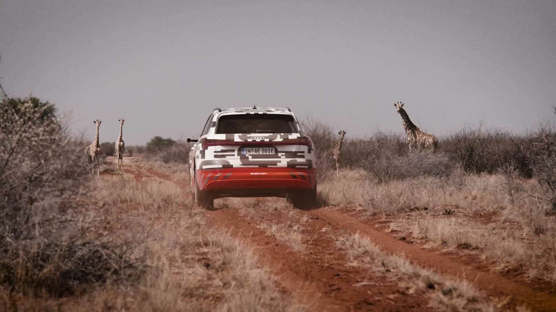 Power play: The Audi e-tron prototype in Namibia