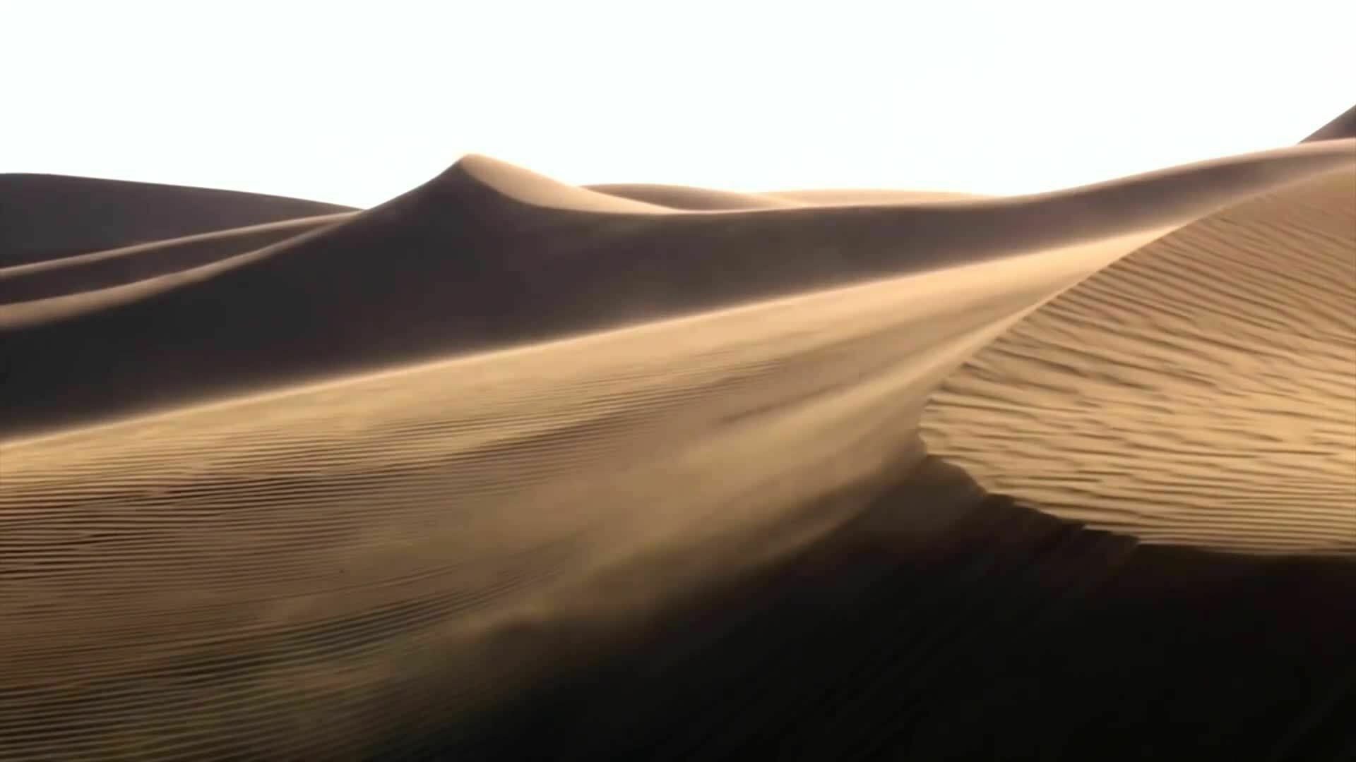 Road to Dakar – Development of the Audi RS Q e-tron