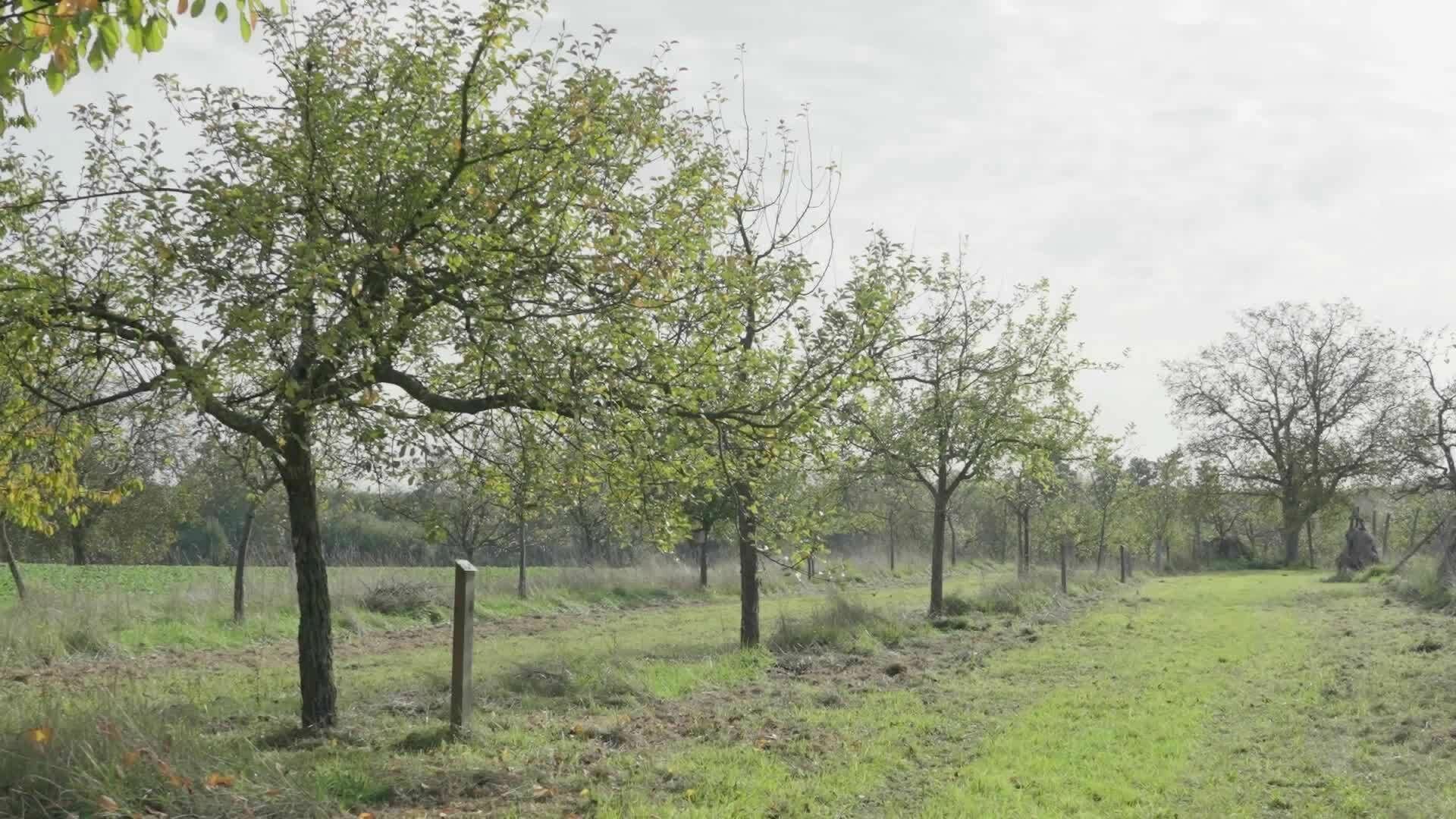 Drones for environmental protection